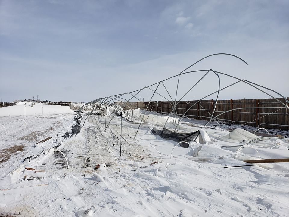 Ahavah Farm damage